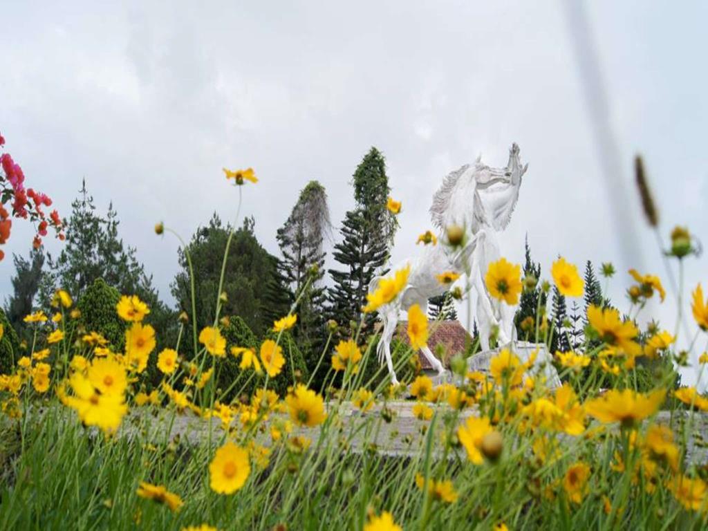 Find Great Discount Deals at Berlian Resort Cipanas - Up ...