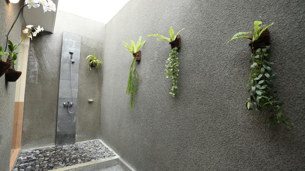 gallery14