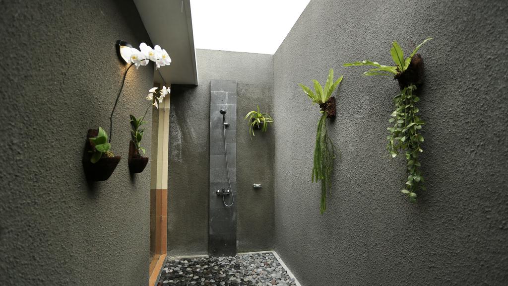 gallery15