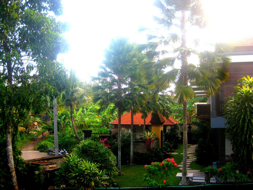 gallery15