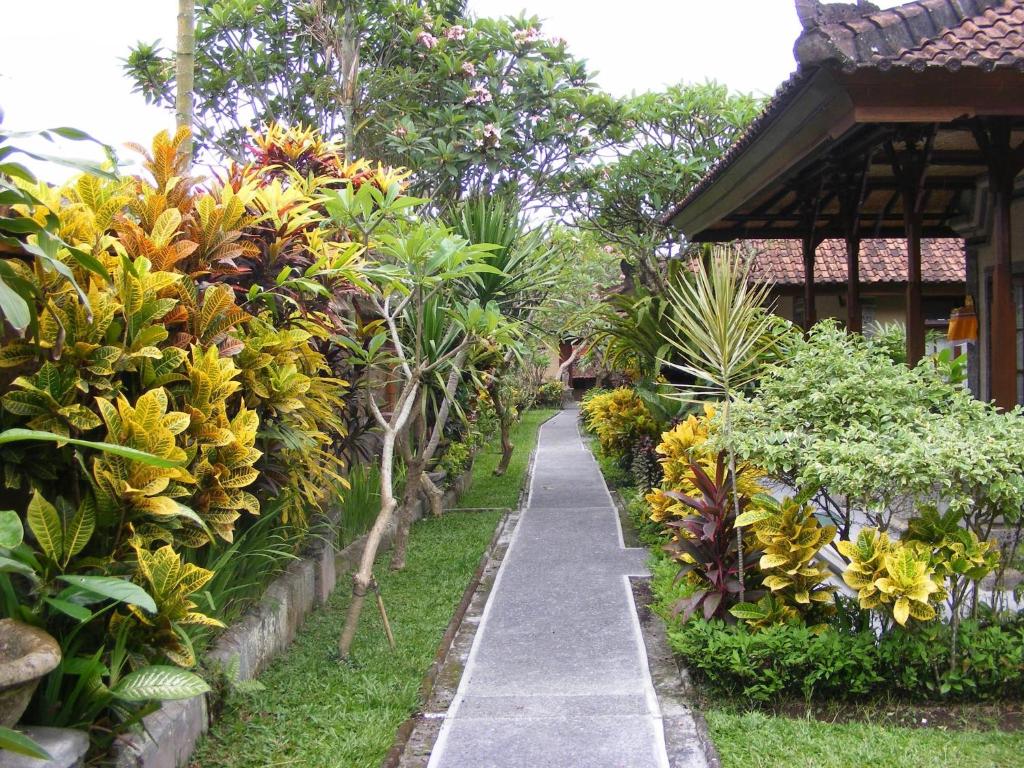 gallery11
