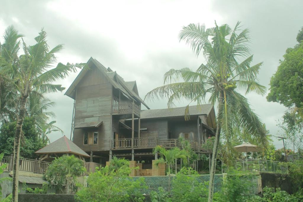 gallery7